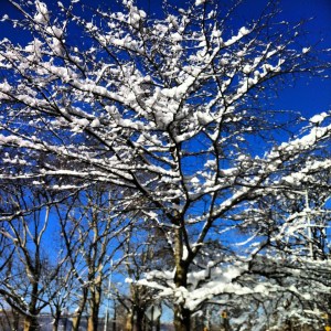 There is always beauty after the storm.